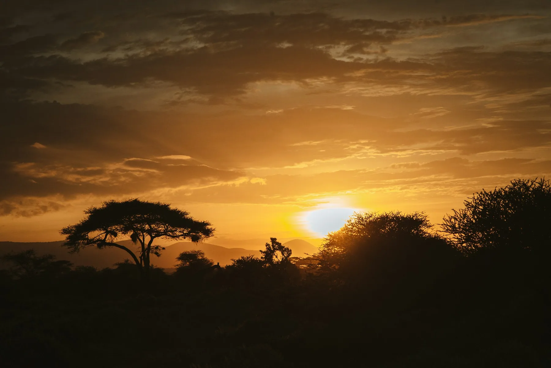 Amboseli – Kilimanjaro-Blicke